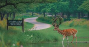 Karimnagar Deer Park