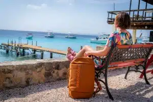 Short Mobile Entertainment